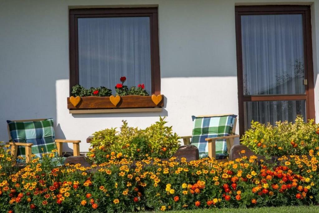 Aspen Apartman Nová Lesná Kültér fotó